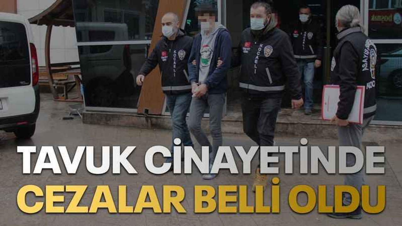 Tavuk cinayetinde cezalar belli oldu